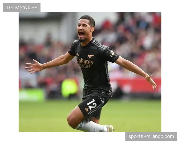 威廉·萨利巴：法国国家队进入轮换体系